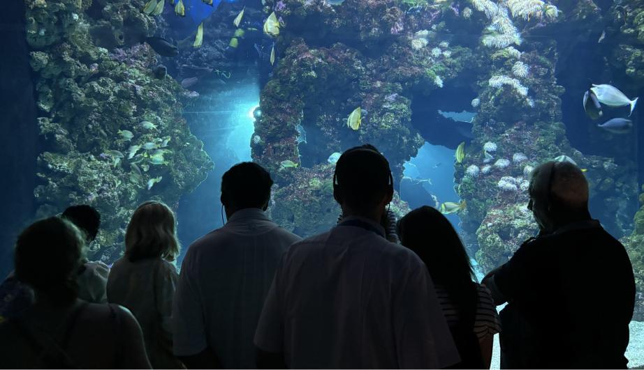 Visitors contemplating a giant aquarium - see detailed description hereafter