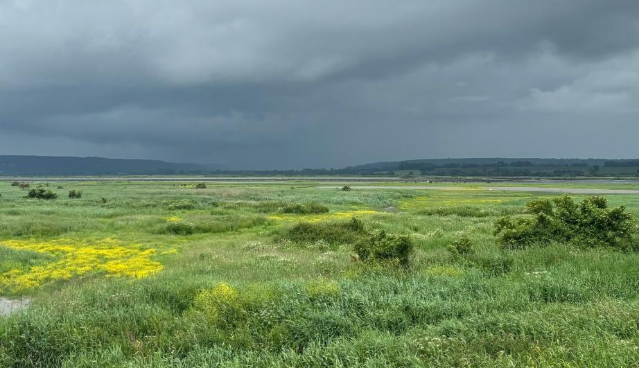 Green field under shady sky - see detailed description hereafter