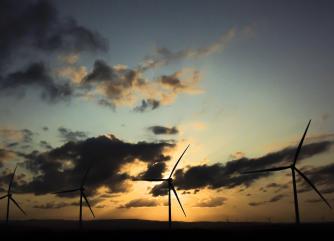 Wind farm, TotalEnergies