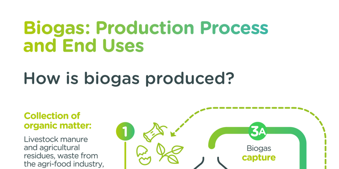 "Biogas: Production Process and End Uses" infographics